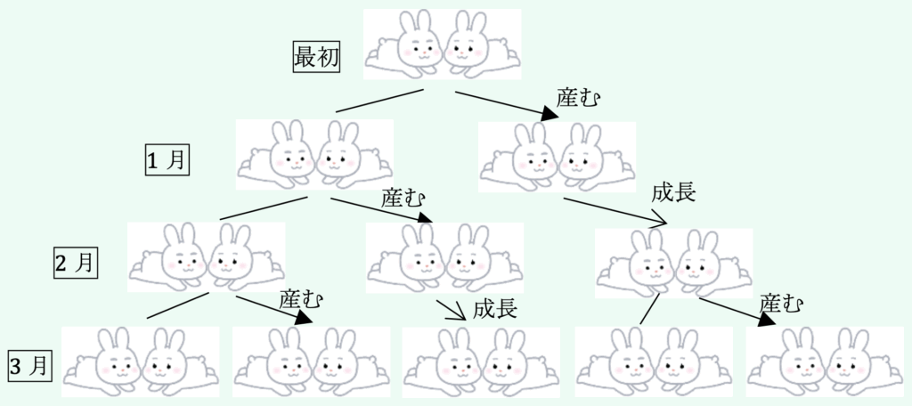 ウサギの増え方